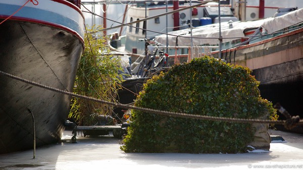 Amsterdam frozen canals, housboats