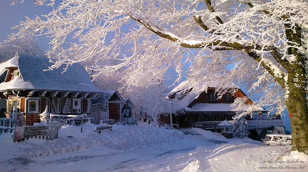 Beskid_Mountains_wintertime_chalets, Czech Republic
