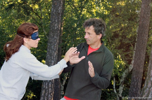 Blindfold Pushing Hands