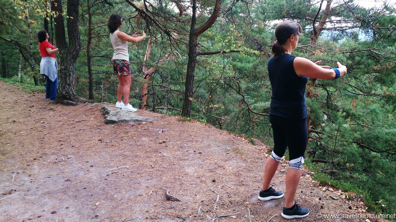 Early morning sunset, forest bathing at its best