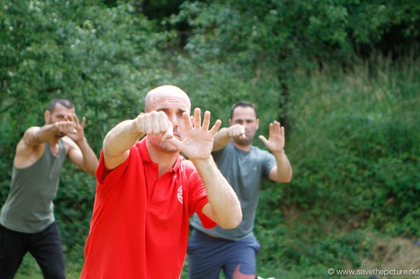 Jochem Taikiken straight punch with backup hand