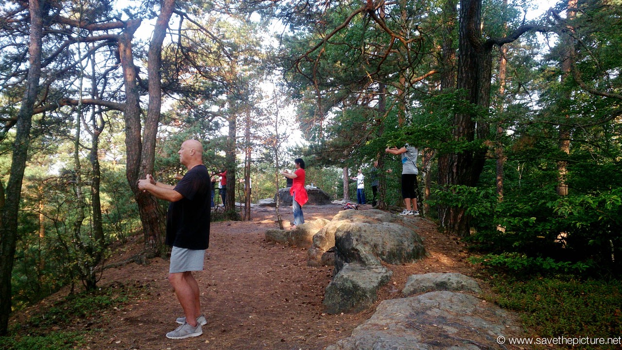 Ritsuzen in our beautiful outdoor dojo