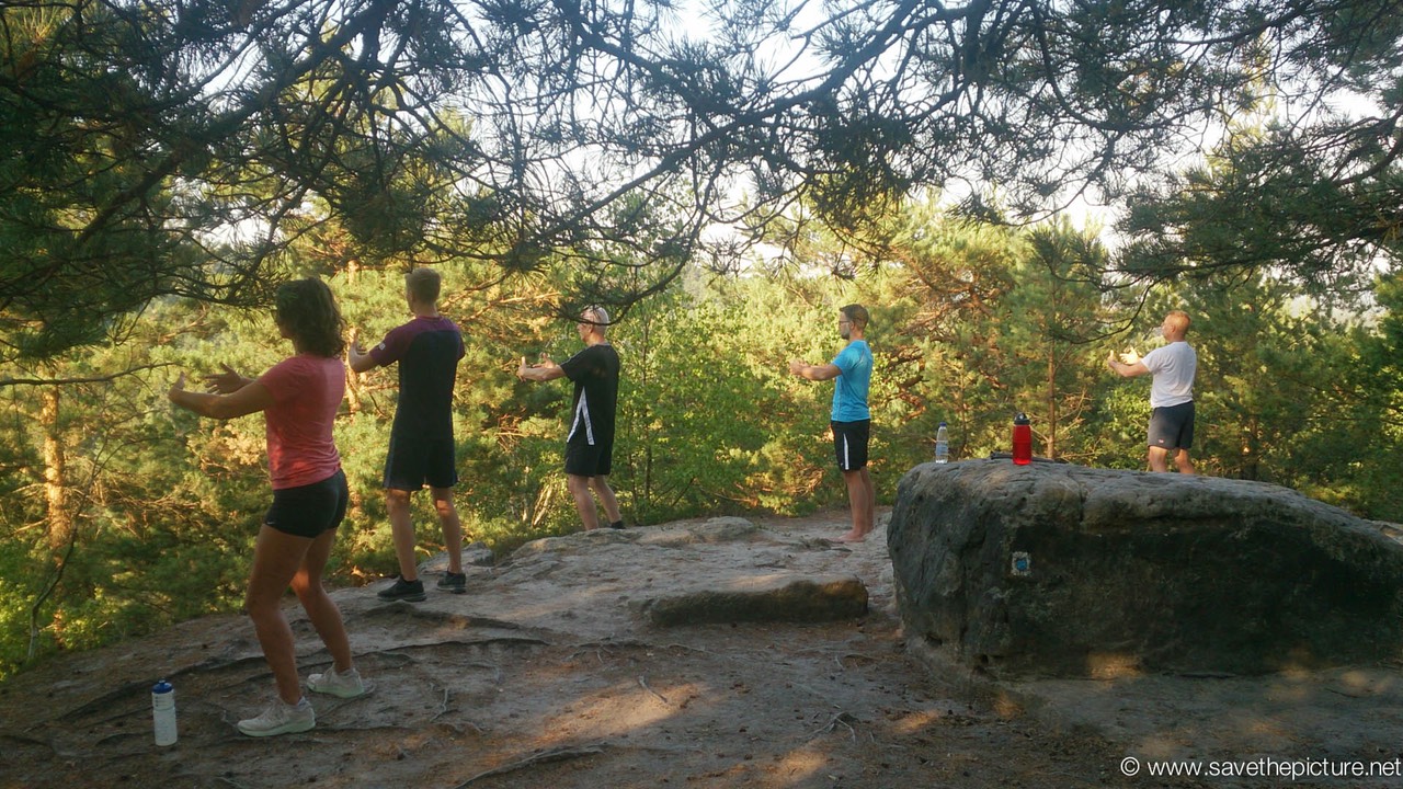 Ritsuzen the ultimate form of forest bathing