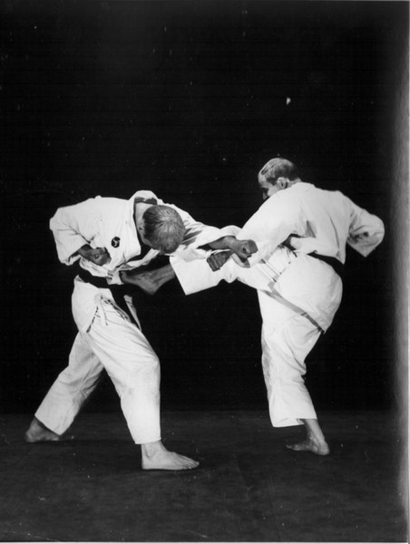 Rinus Schulz Kyokushinkai 3