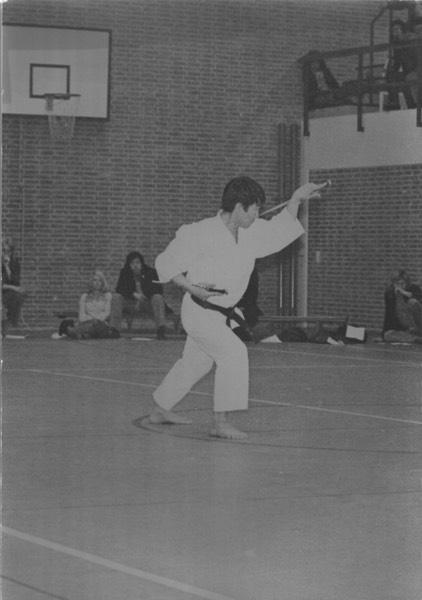 Sai demo Iwama Norimasa