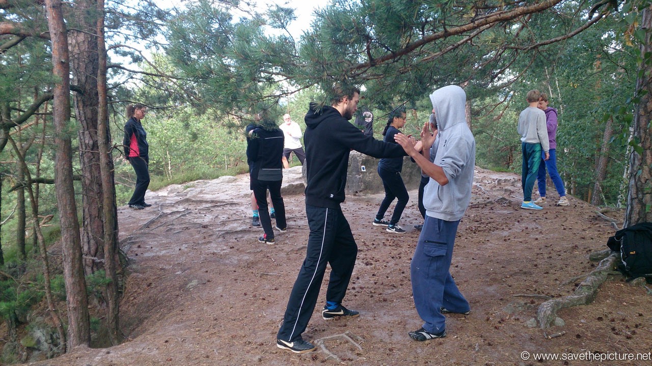 Simon and Pascal early morning pushing hands Patak