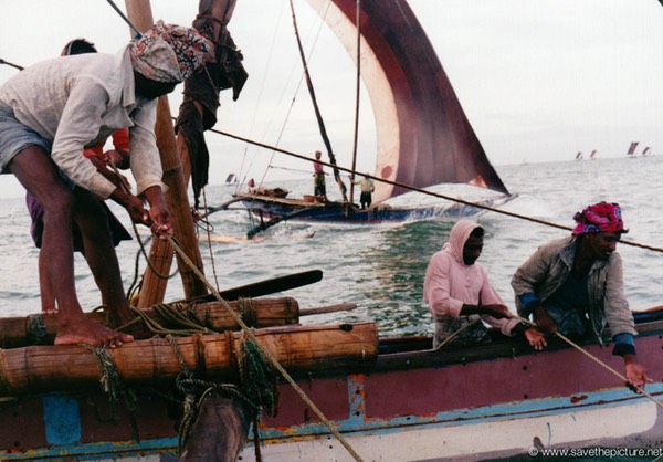 Sri Lanka catamaran art, in full action