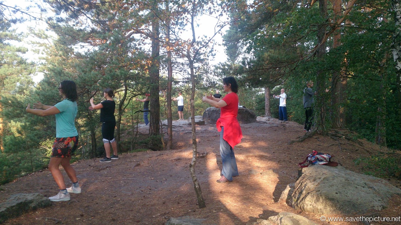 Starting the day with early morning Ritsuzen, Taiki workshop Cz