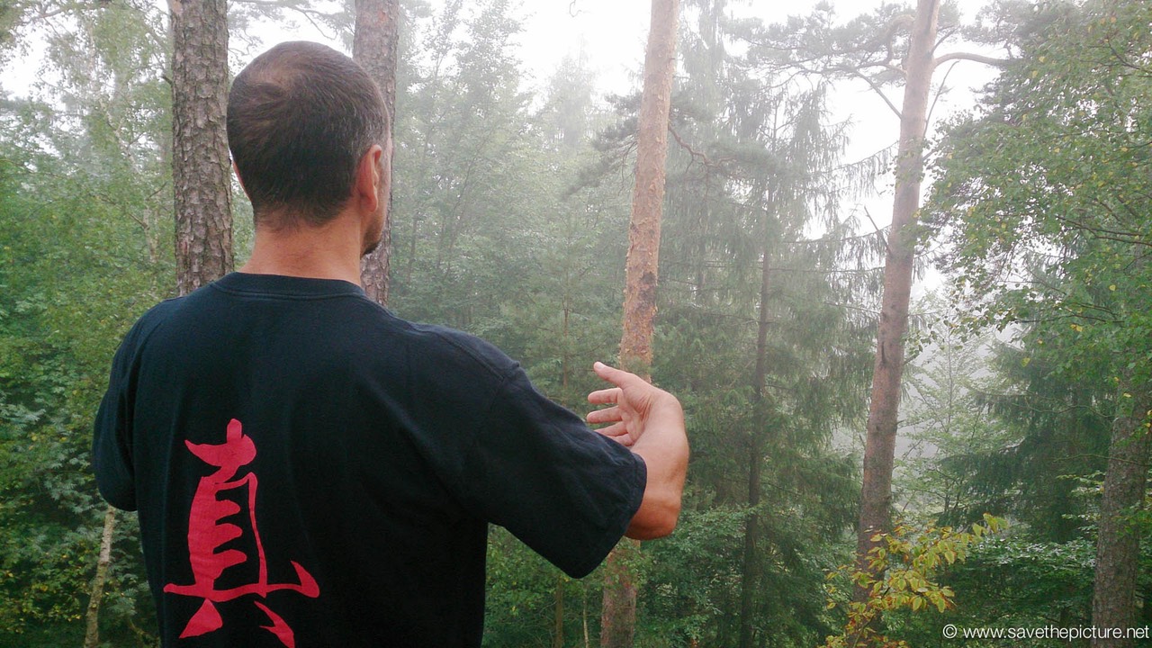Taikiken and Kyokushin karate do have a long history in martial arts