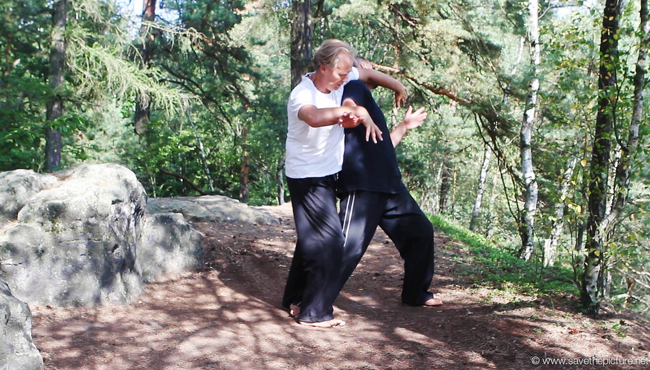Taikiken sashite with armlock and throatlock