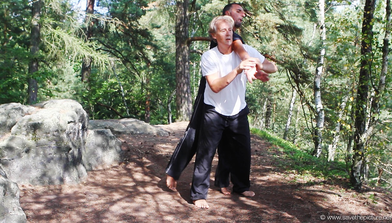 Taikiken shoulder extention armlock