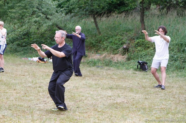 Taikiken slow high walking on the field