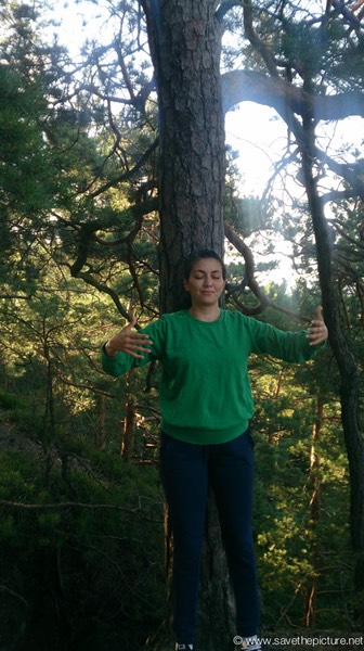 Taikiken standing tree Fay