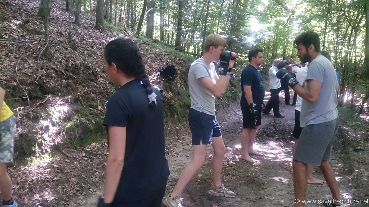 Taikiken training in the shadow of the forest