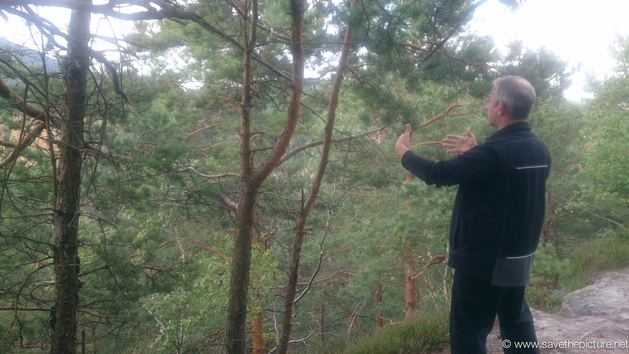 Taikiken, Uwe standing Zen