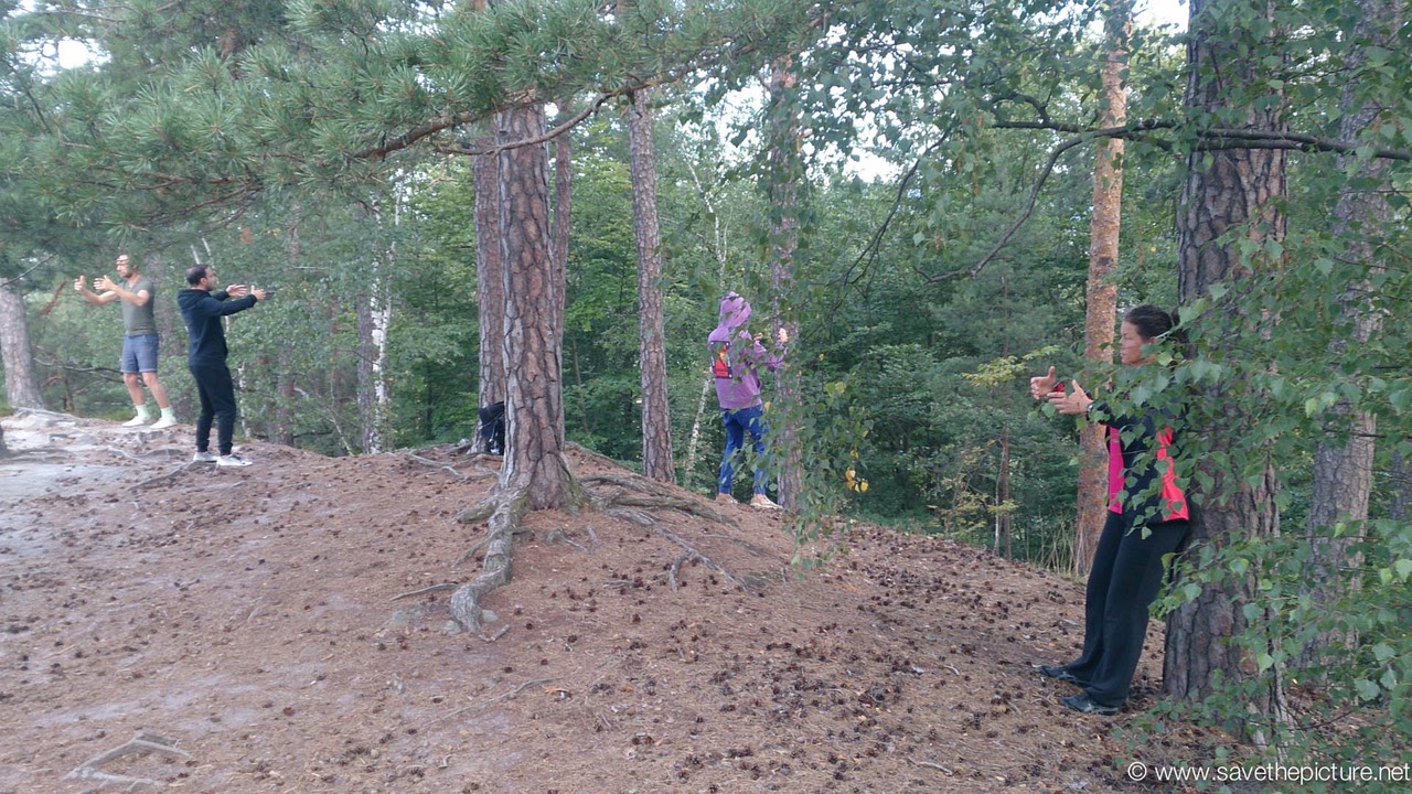 Taikiken working with the omnidirectional forces 2