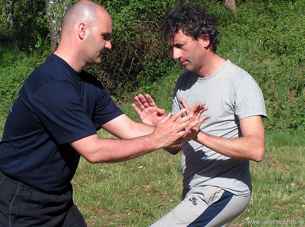 Taikiken pushing hands