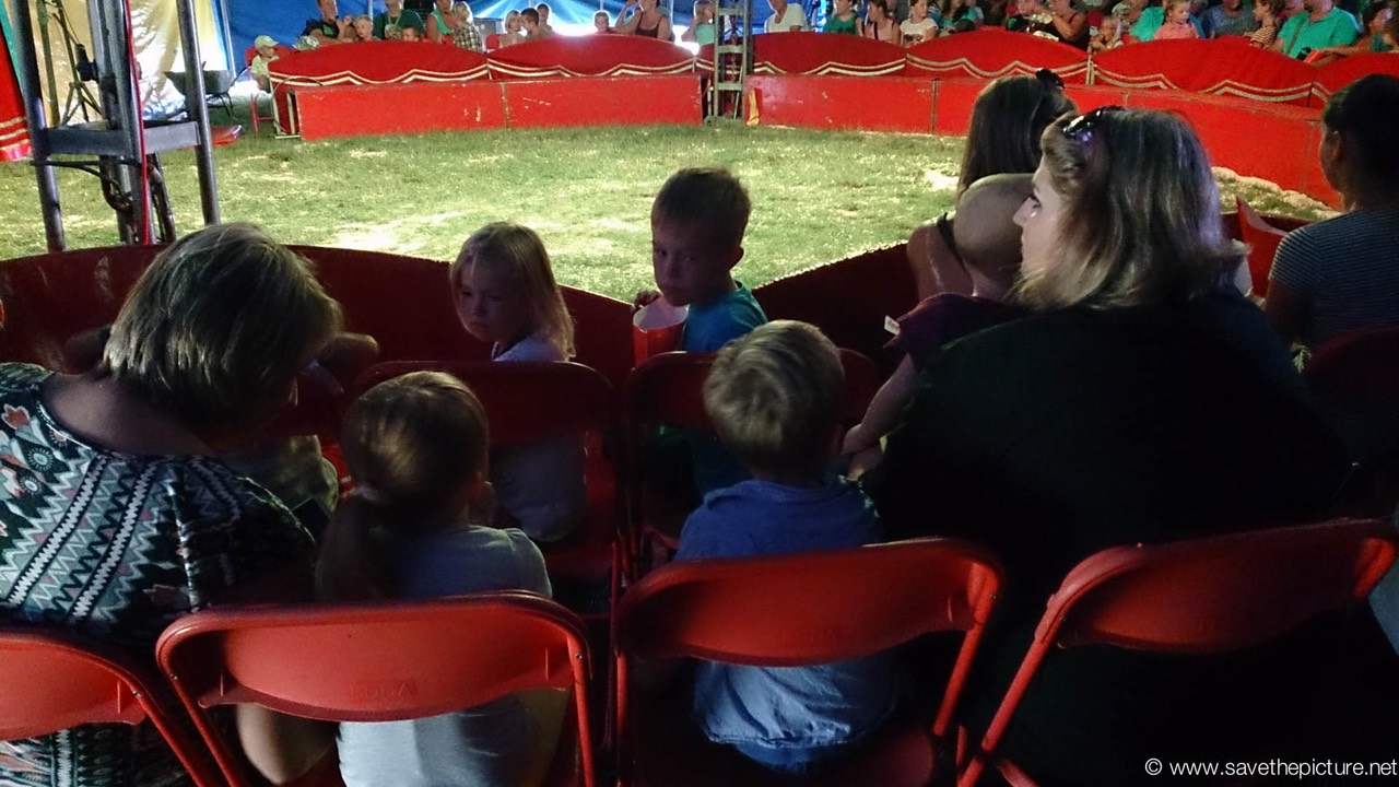 VIP seats_