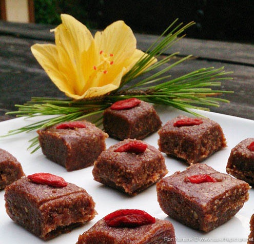 ZenmaX-energizing Raw bites retreat Ibiza